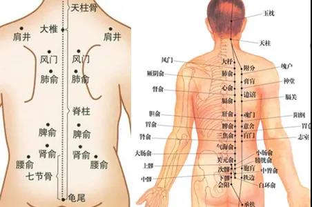 艾灸養(yǎng)肝疏通經(jīng)絡應該灸哪里？