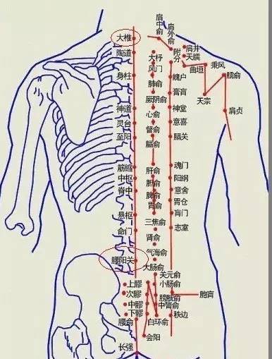 艾灸好這幾穴位一整年不發(fā)胖，艾灸減肥的穴位，快灸起來！
