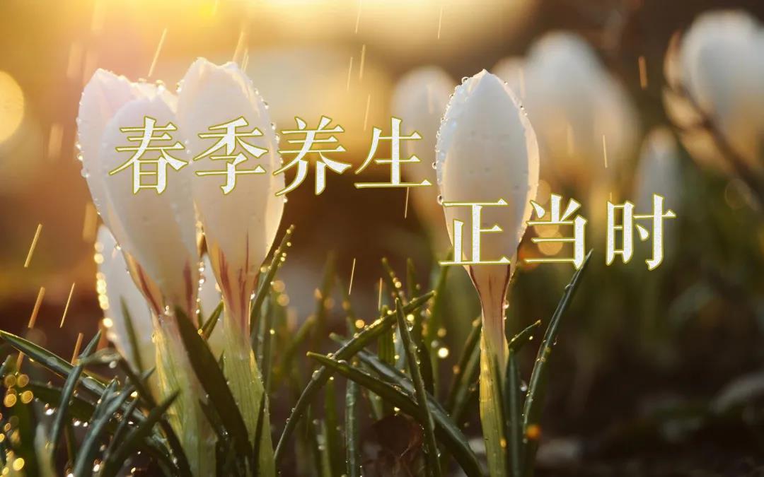 春天艾灸，陽(yáng)上增陽(yáng)，這些技巧別錯(cuò)過(guò)！